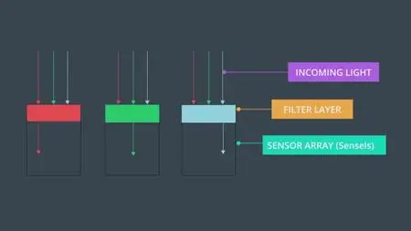 Udacity - Robotics Software Engineer v1.0.0