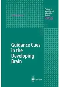 Guidance Cues in the Developing Brain