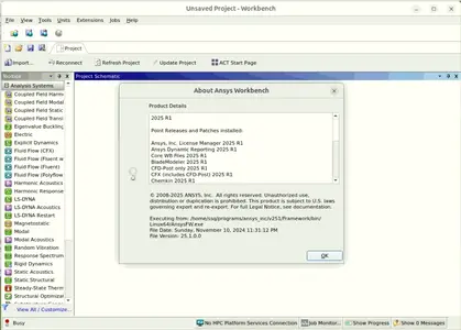 ANSYS Products+ 2025 R1 Linux