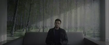 The Falcon and the Winter Soldier S01E01
