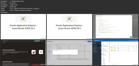 The Complete Oracle Apex Fundamentals Course (2024)