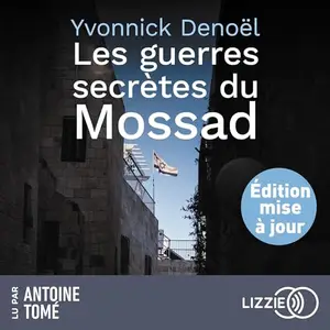 Yvonnick Denoël, "Les guerres secrètes du Mossad"