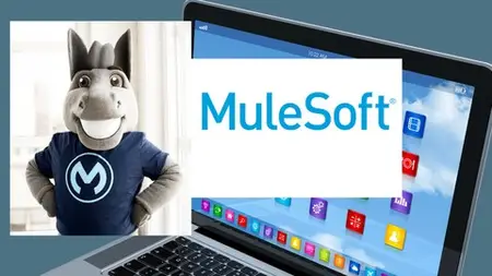 Master Mulesoft From Scratch In 30 Days