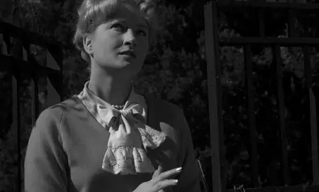 Spider Baby (1967)