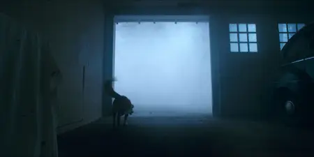 Good Boy (2025)