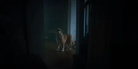 Good Boy (2025)