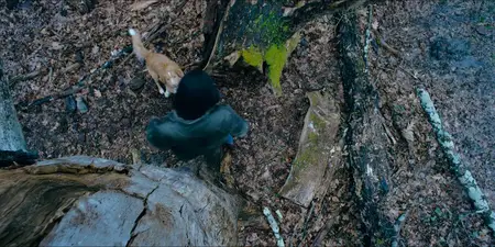 Good Boy (2025)