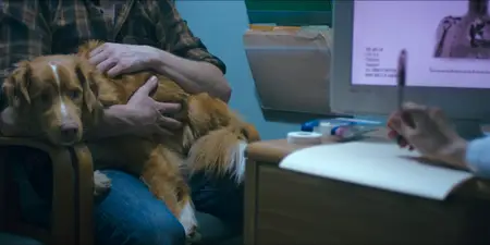 Good Boy (2025)