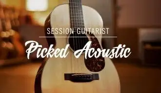 Native Instruments Session Guitarist Picked Acoustic v1.2.0 KONTAKT