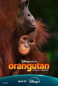 Orangutan (2026)