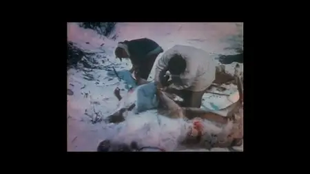 Blood & Myth (2025)