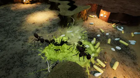 Empires Of The Undergrowth Exploding Ants (2025) v1.1010742