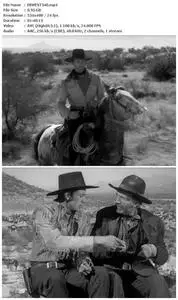 The Westerner (1940)