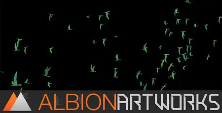 Flocking Bird Generator - Project for After Effects (Videohive)