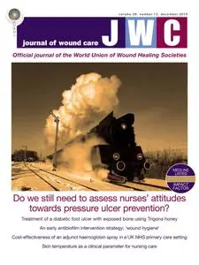 Journal of Wound Care - December 2019