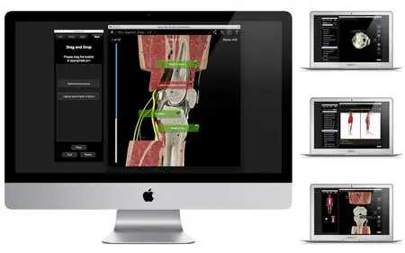 Knee Pro III with Animations v3.2.2 Mac OS X