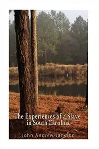 The Experience of a Slave in South Carolina