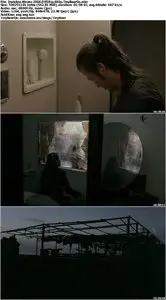 Invisible Waves (2006)