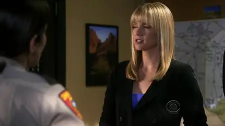 Criminal Minds S05E19