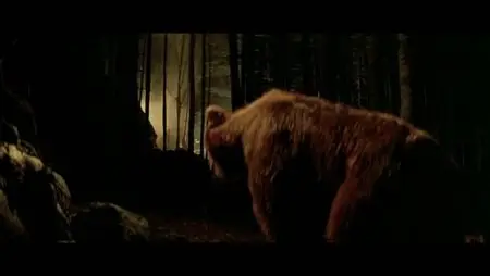 L'Orso (1988)