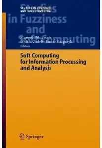 Soft Computing for Information Processing and Analysis [Repost]
