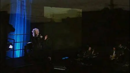 Cyndi Lauper - Live...At Last (2004) [DVDRip]
