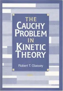 The Cauchy Problem in Kinetic Theory (repost)