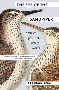 The Eye of the Sandpiper : Stories From the Living World