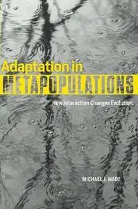 Adaptation in Metapopulations: How Interaction Changes Evolution