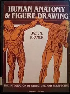 Human anatomy and figure drawing: The integration of structure and perspective