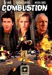 Combustion (2004) 