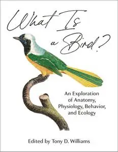 What Is a Bird?: An Exploration of Anatomy, Physiology, Behavior, and Ecology