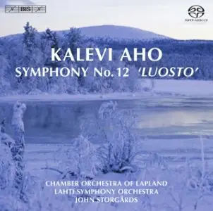 Kalevi Aho - Symphony No. 12, "Luosto" (Storgards) [repost]