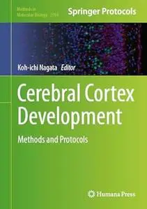 Cerebral Cortex Development