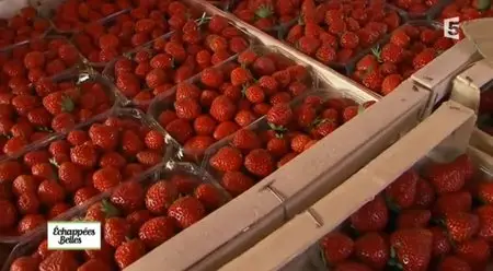 (Fr5) Échappées belles - Le Périgord en quatre couleurs (2013)