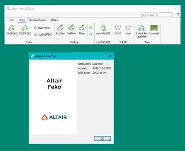Altair FEKO 2022.1.3 Hotfix