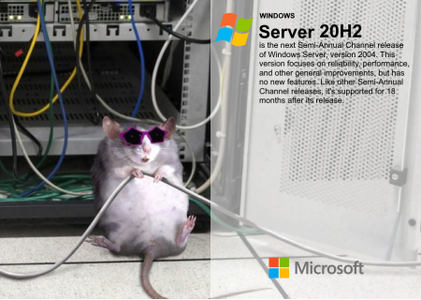 Windows Server, Version 20H2 Build 19042.1526