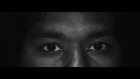 Random Acts of Flyness S01E01