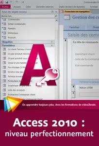 Access 2010: Niveau perfectionnement [repost]