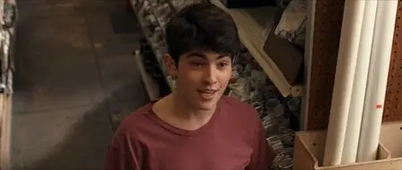 The Boy Next Door (2015)