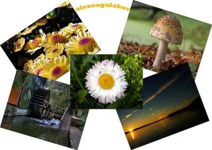 Great Natural Wallpaper Archive