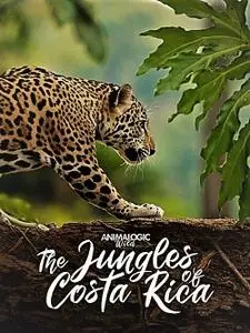 Blue Ant Media - Animalogic Wild: The Jungles of Costa Rica (2019)