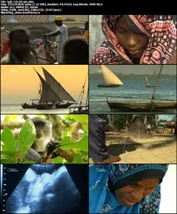National Geographic Islands Zanzibar