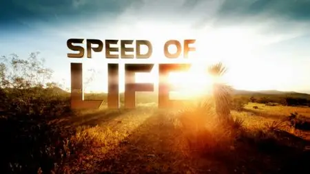 Speed of Life / Скорость Жизни (2010)