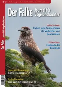 Der Falke Journal für Vogelbeobachter - Mai 2024