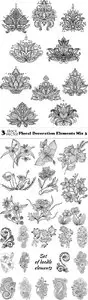 Vectors - Floral Decoration Elements Mix 3