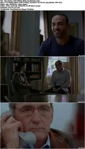 The Visitor (2007)