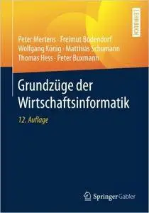 Grundzüge der Wirtschaftsinformatik (Auflage: 12)