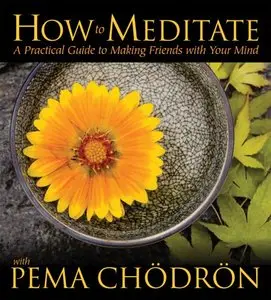 How to Meditate with Pema Chodron: A Practical Guide to Making Friends with Your Mind (Audiobook)