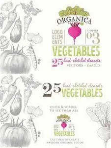 CreativeMarket - Organic LOGO Elements – Vegetables